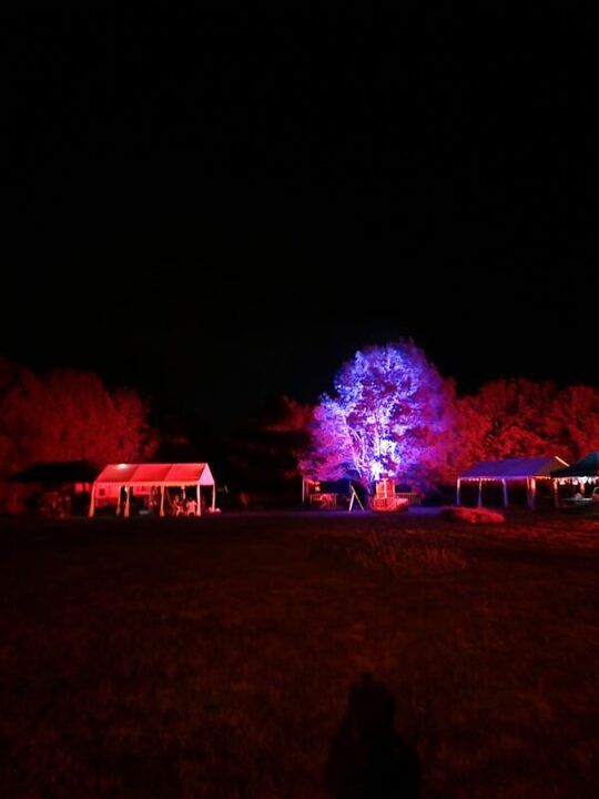 Gallerie - gallery2023_tree.jpg - 6/6